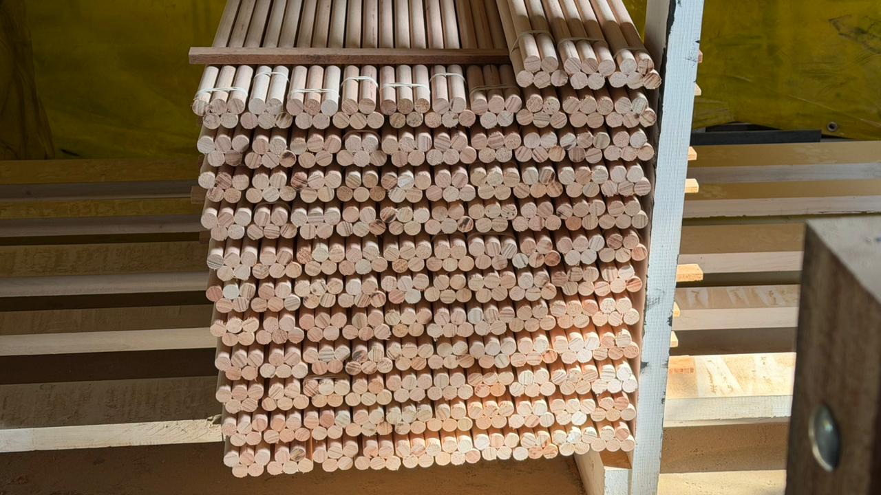 Saligna dowels
